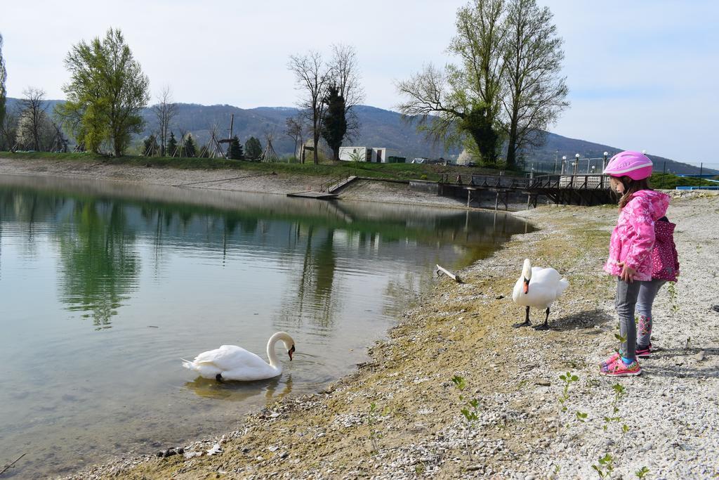 Borovnica Catez Διαμέρισμα Catez ob Savi Εξωτερικό φωτογραφία