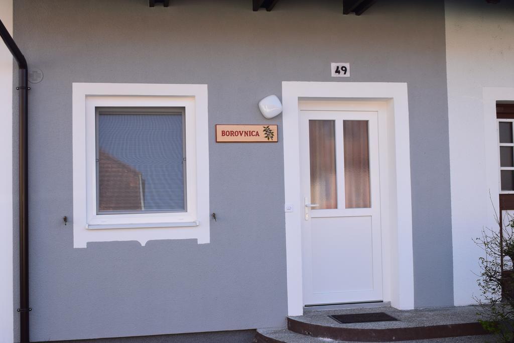 Borovnica Catez Διαμέρισμα Catez ob Savi Εξωτερικό φωτογραφία